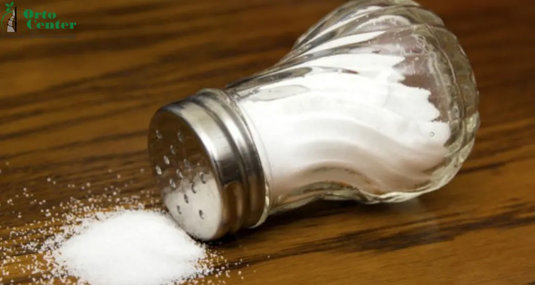 Osteoporose: quais alimentos evitar?