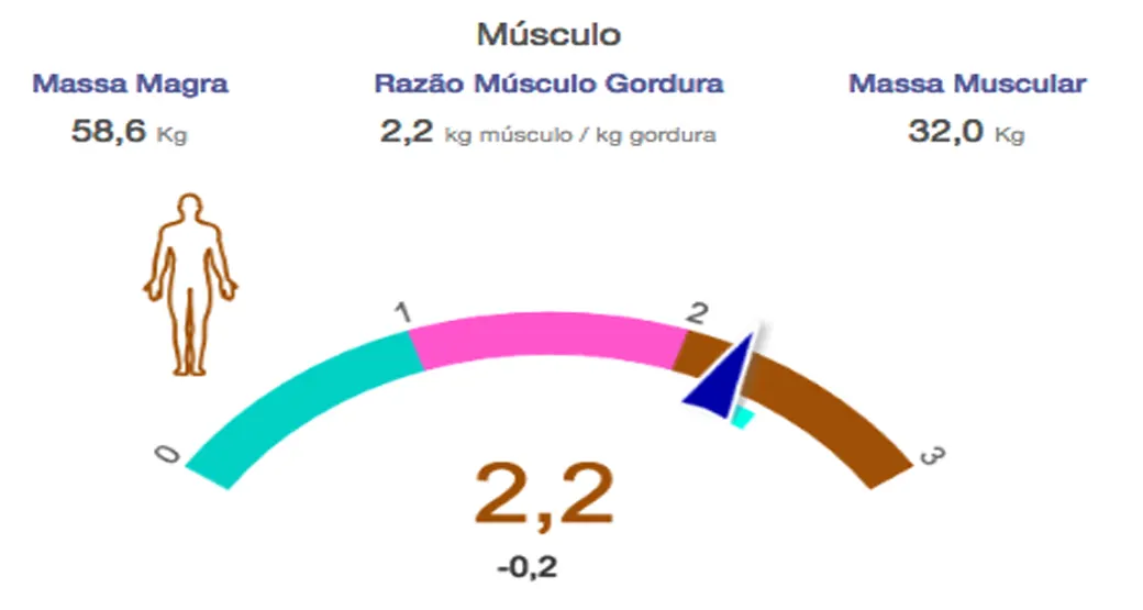 Por que fazer o exame de bioimpedância?