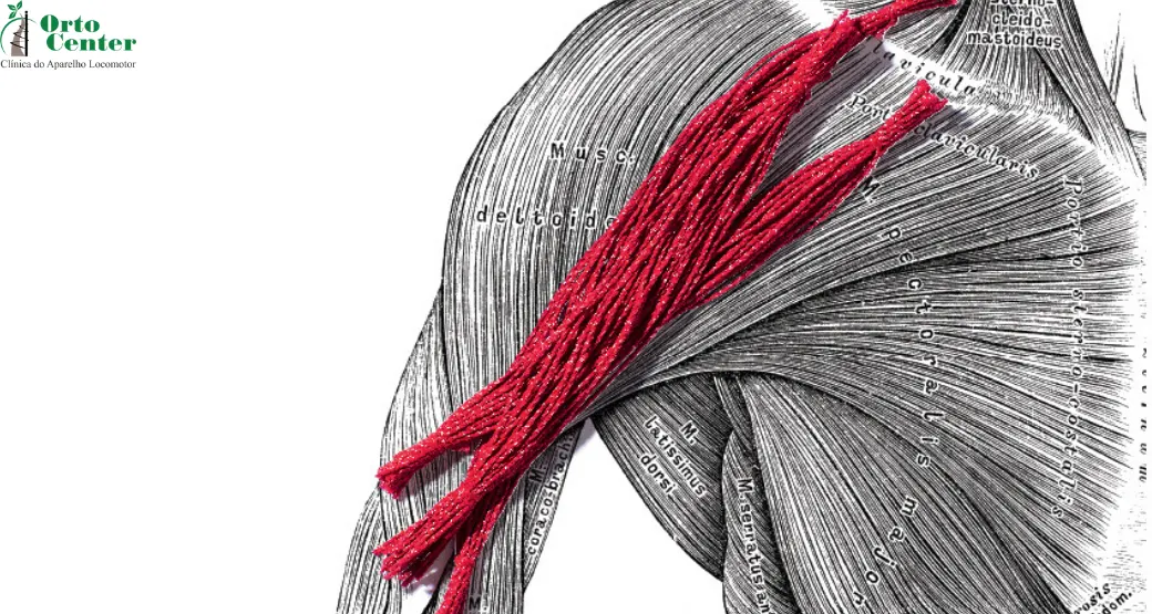 Sarcopenia: o que é, causas, sintomas e tratamento